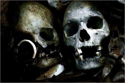 Ancestral skulls, Kundu Island, Solomon Islands. copyright Michael McCoy