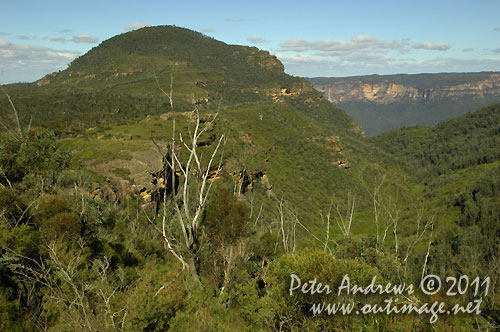 Crossing the Blue Mountains, NSW Australia and this is Mt Banks looking towards the Grose Valley, from the Bells Line of Road. Photo copyright Peter Andrews, Outimage Australia.