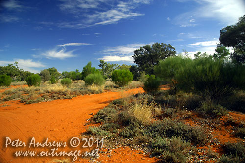 Taking a break from the Barrier Highway to take in the amazing colours of the Australian outback. At a roadside rest area between Cobar and Wilicannia, NSW Australia. Photo copyright Peter Andrews, Outimage Australia.