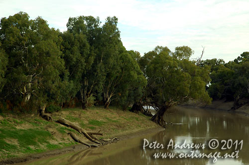 The Darling River at Wilcannia on the Barrier Highway, NSW Australia.  Photo copyright Peter Andrews, Outimage Australia.