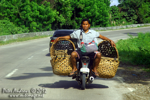 Motorbikes transport all sorts of things and people on the highway to Kidapawan City, Cotabato Province, Mindanao, Philippines. Photo copyright Peter Andrews, Outimage Australia.