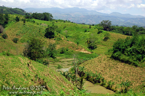 Overlooking the Arakan Valley, Cotabato Province, Mindanao, Philippines. Photo copyright Peter Andrews, Outimage Australia.