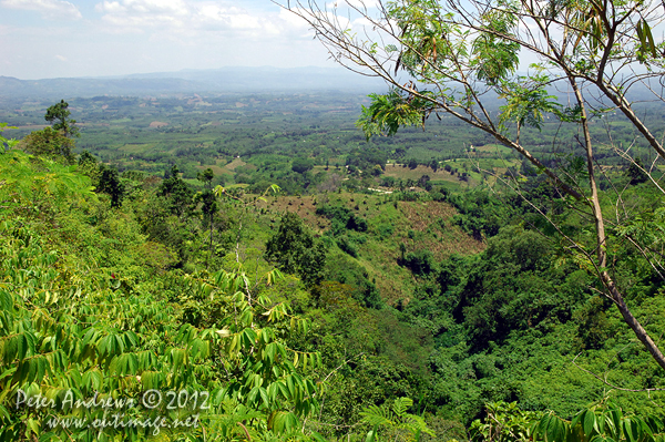 Overlooking the Arakan Valley, Cotabato Province, Mindanao, Philippines. Photo copyright Peter Andrews, Outimage Australia.