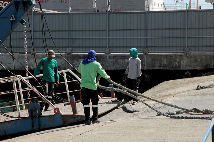 Workers at the Sasa Barge Wharf in Davao City securing a vehicle ferry from Samal Island.