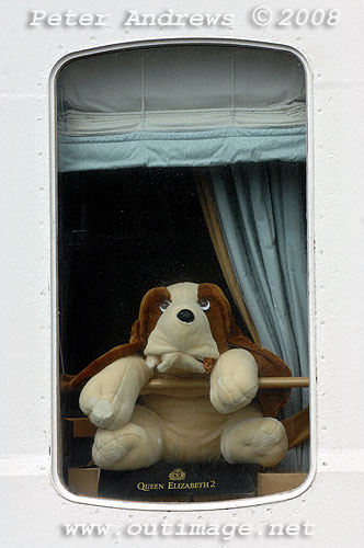 The ship's dog? A very large toy stuffed dog peers out one of the larger windows Queen Elizabeth 2 at the Overseas Passenger Terminal, Circular Quay Sydney.