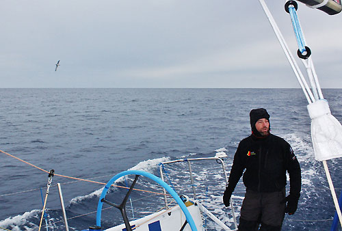 Iker Martinez sees an Albatross in the Southern Ocean, on leg 5 of the Volvo Ocean Race, from Qingdao to Rio de Janeiro. Photo copyright Gabriele Olivo / Telefonica Blue / Volvo Ocean Race.