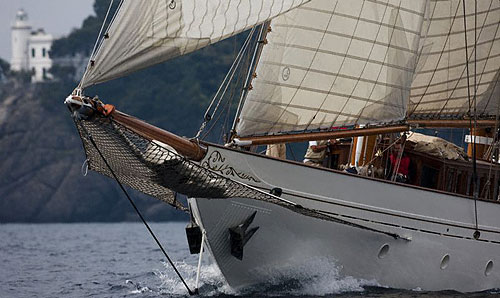 Orion during the Portofino Rolex Trophy. Photo copyright Rolex and Carlo Borlenghi.