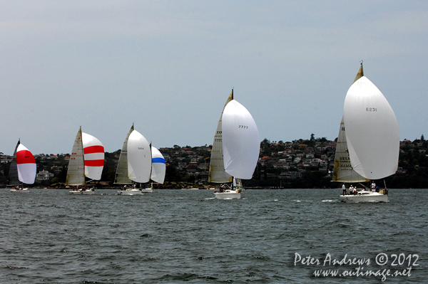 The Sydney 38 fleet under spinnaker, during the CYCA Trophy One Design Series 2012. Photo copyright Peter Andrews, Outimage Australia 2012.