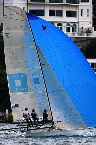 Spectrum Trimming was a big improver, during Race 4 of the Winning Appliances - JJ Giltinan 18ft Skiff Championship on Sydney Harbour, Wednesday March 9, 2011. Photo copyright Australian 18 Footers League.